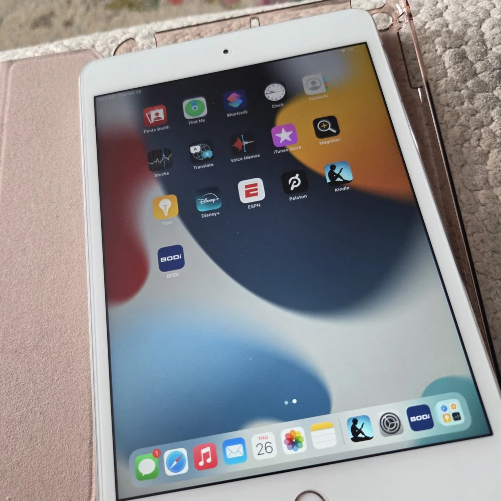 Apple stylish mini